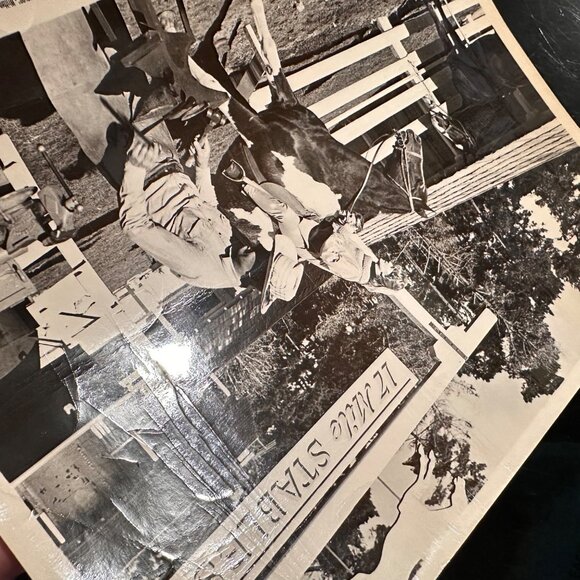 Vintage 1961 Susan Slade Movie Still Connie Stevens 17 Mile Stables Horse Photo - Picture 14 of 14